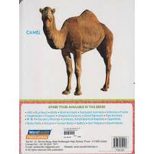 Check 'camel' translations into marathi. My First Board Book Of Domestic Animals By Wordsmith Publications English Book Buy Online At Akshardhara