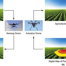 Start studying integrated pest management (ipm). Pdf Drones Innovative Technology For Use In Precision Pest Management