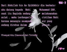 Android application satu hari satu hadis developed by pusat kajian hadis is listed under category education. Satu Hari Satu Hadis 147 Facebook