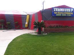 Alternative Termite Control And Tent Fumigation Chem Free