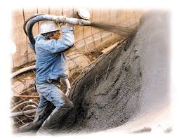 When choosing among them it will be necessary to choose the material the. Reed Concrete Pumps Shotcrete Pumps And Guncrete Gunite Machines