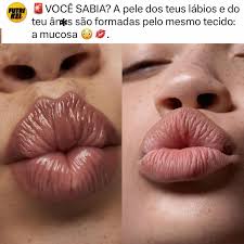 Curiosidade científica 💋➡️🍑 A pele dos teus lábios e do teu ân*s têm algo  em comum: são revestidas pelo mesmo tipo de tecido — a mucosa. Esse tecido  é responsável por manter