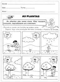 Atividades meio ambiente 2° ano do ensino fundamental, são diversas atividades e exercícios prontos para baixar e imprimir, para educação são diversas sugestões de atividades e exercícios prontos para baixar e imprimir para aplicar em sala de aula ou como dever de casa, sendo possível. 50 Atividades De Ciencias 2Âº Ano Ensino Fundamental Para Imprimir Online Cursos Gratuitos