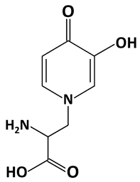 Image result for Leucas milanjiana