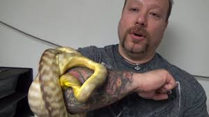 • docile as adults, but aggressive as hatchlings. My Snake Bit Me How To Get It To Release Youtube