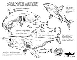 Pin On Coloring Fact Sheets
