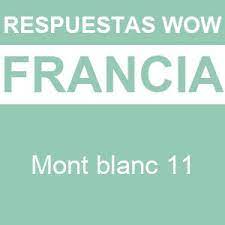 Connected letters w+o+w in a blue tray. Wow Mont Blanc 11 Respuestas Wow