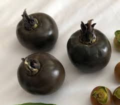 Image result for Diospyros batocana