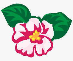 With near 1,000 species availa. Africa Violet National Flower Of Nepal Drawing Transparent Png 800x609 Free Download On Nicepng