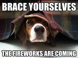 15 Funny 4th Of July Pictures Funny Fireworks Fireworks Funny 4th Of July