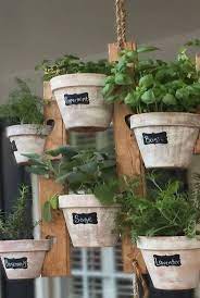 Pin On Gardening