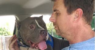 Giving Till It Hurts: Troy Snell