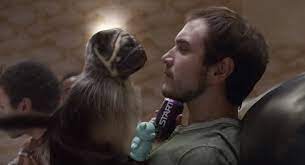 Mountain Dew S Puppy Monkey Baby Commercial Scares Super Bowl Viewers Phl17 Com