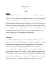 Strawberry_dna_extraction_lab_question_answers ahead of dealing with strawberry dna extraction lab worksheet answers, remember to are aware that instruction will be our key to an even better another day, along with understanding won't only end once the classes bell rings.of which. Dna Extraction Lab Answer Sheet 1 Dna Extraction Lab Questions A B C D 1 What Source Of Dna Did You Use For This Lab And Why Did You Select It Course Hero