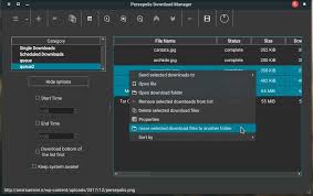 I would to disable the download manager in internet explorer. Persepolis Download Manager