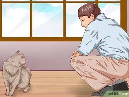 Jika dilihat dari pendapat tersebut, maka ini lebih menjurus ke kaum. Cara Menggendong Kucing 11 Langkah Dengan Gambar Wikihow