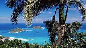 Miraclesaint news research articles and video on saints, st thomas, st michael, miracles. Free Download Download Wallpaper Saint Thomas Us Virgin Islands 1600 X 900 1600x900 For Your Desktop Mobile Tablet Explore 45 St Thomas Virgin Islands Wallpaper Island Wallpaper For Desktop