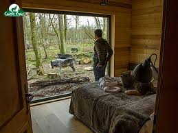 nouveaute 2014 dans les hebergements parc animalier de sainte croix 57 810 rhodes parc sainte croix hebergement insolite hebergement