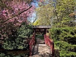 Hier kann man wunderbar abschalten und den alltagsstress abfallen lassen. Japanischer Garten Leverkusen Foto Bild Natur Landschaft Japan Garten Leverkusen Bilder Auf Fotocommunity