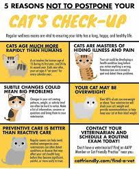 Pin Di My Inner Crazy Cat Lady