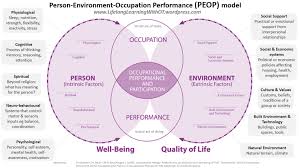 3 Person Environment Occupation Performance Peop Model Top Down Approach That Looks At An Individu Occupational Ocupational Therapy Occupational Therapy