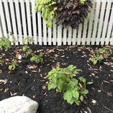 Maybe you would like to learn more about one of these? K W Greenery Nurseries Gardening 1328 Hwy 14 E Janesville Wi Phone Number Yelp