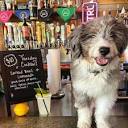 Dog Bar St Pete (@dogbarstpete) • Instagram photos and videos