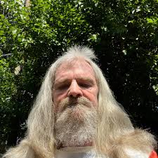 What kind of tree is this