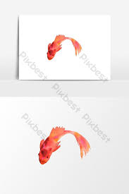 ألوان مائية حوض السمك ناقلات عنصر الرسم صور Png Psd تحميل مجاني Pikbest