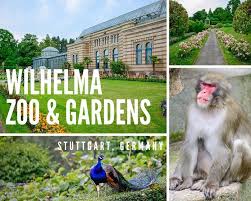 A Day At The Zoo In Stuttgart Germany In 2020 Stuttgart Zoo Stuttgart Germany