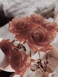 Flowers play a big role in our lives. Flowers On Twitter Rose Gold Aesthetic Gold Aesthetic Aesthetic Roses