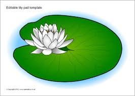 Black And White Lily Pad Clipart Editable Lily Pad Template Sb8458 Sparklebox Lily Pads Pad Butterfly Template