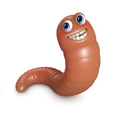 Worm is ready to have you guide. The Difference Between Caterpillars And Worms All About Worms Catawba Worms Catawba Meal Worms