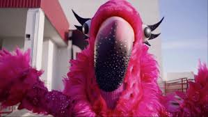 12 celebrity performers wear costumes to conceal identities. Who Is The Flamingo On The Masked Singer Season 2 Spoilers