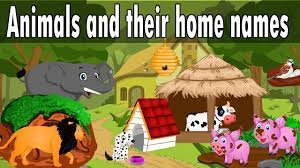Animals And Their Home Names For Kids Kid2teentv Youtube Animals And Their Homes Rainbow Lessons Kids