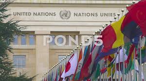Flags In Front Of United Nations Organization Main Office In Geneva Switzerland Stock Footage Ad Nation United Nations Organization The Unit United Nations