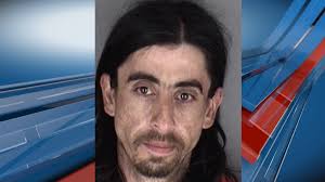 Suspicious vehicle's passenger arrested