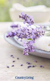30 Of The Best Ways To Use Lavender Lavender Recipes Edible Lavender Growing Lavender