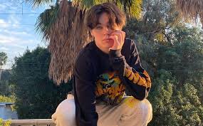 Is Hype House Tiktoker Nick Austin Dating Avani Gregg Tv Trend Now