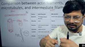 Heat shock protein vs cold shock protein