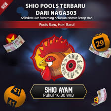 Shio Pools Terbaru Shio Ayam Hadiah