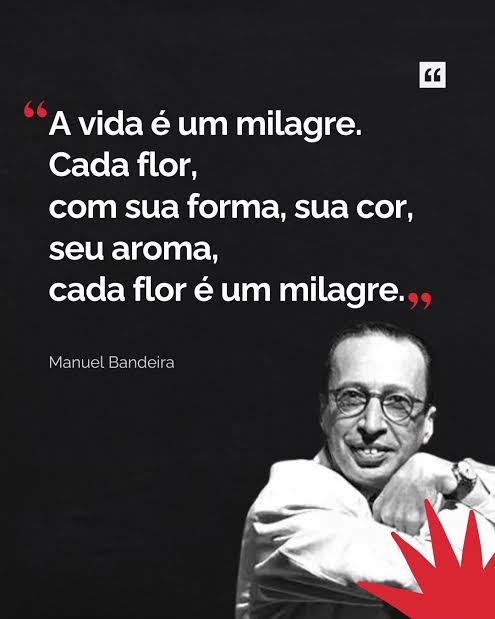 A Poesia de Manoel Bandeira: Transformando o Cotidiano | TikTok