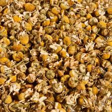 Wholesale bulk price dried chamomile flowers herbal tea. Chamomile Flower Dried Chamomile Flowers Wholesale Trader From New Delhi