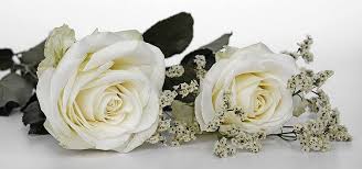 Wounds, left by the riots in overtown and liberty city, barely scabbed over. Epicure Flowers Home Facebook