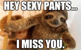 Maybe you would like to learn more about one of these? I Miss You Meme 25 Cute Funny Miss You Meme