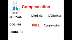 Abg Interpretation The Ultimate Guide To Arterial Blood Gases