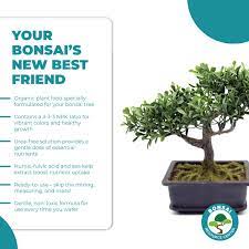 Bonsai Tree Food Organic Plant Food Bonsai Tree Care Bonsai Tree