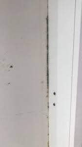 Schließlich ist schimmel besonders im schlafzimmer nicht nur ein ästhetisches problem, sondern auch hochgradig gesundheitsschädigend. Kann Dieser Schimmel Im Schlafzimmer Durch Falsches Luften Entstanden Sein Wohnung Schimmelbefall