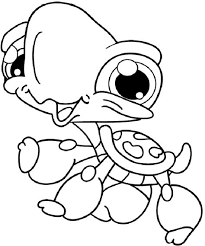 Kaplumbaga Boyama Sayfasi Hayvan Boyama Sayfalari Boyama Sayfalari Boyama Kitaplari