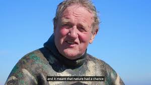 Divers install first 'Minter Hotel' off Sussex